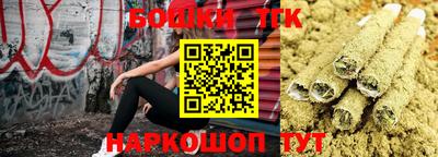 прущие крисы Будённовск