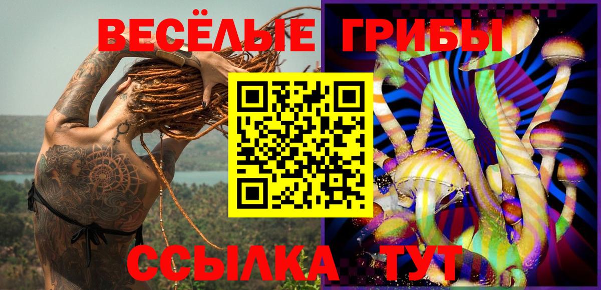 Галлюциногенные грибы MAGIC MUSHROOMS  Галлюциногенные грибы Magic Shrooms  Тобольск  Вход с VPN 